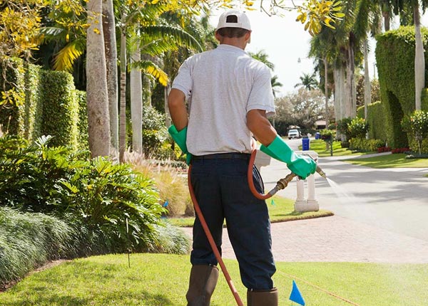 About Buxton NC Pest Control